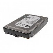 507613-002 HP HD 1TB 6G SAS 7.2K rpm LFF 3.5 POL DP MIDLINE SEM DRIVE TRAY - Mb2000famyv | HP HD 1TB 6G SAS 7.2K rpm LFF 3.5 POL DP MIDLINE SEM DRIVE TRAY - Mb2000famyv HP HD 1TB 6G SAS 7.2K rpm LFF 3.5 POL DP MIDLINE SEM DRIVE TRAY - Mb2000famyv