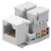 LKKC5BC Keystone Jack Fêmea RJ45 CAT5e Branco pinagem T568A/B Venda Unitária | Keystone Jack Fêmea RJ45 CAT5e Branco pinagem T568A/B Venda Unitária Keystone Jack Fêmea RJ45 CAT5e Branco pinagem T568A/B Venda Unitária