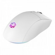 PMGBRSTWG Pcyes mouse gamer Basaran Wireless Stealth White Ghost Sensor Pixart PWM3325 10.000 DPI Switches Kailh Silent | Pcyes mouse gamer Basaran Wireless Stealth White Ghost Sensor Pixart PWM3325 10.000 DPI Switches Kailh Silent Pcyes mouse gamer Basaran Wireless Stealth White Ghost Sensor Pixart PWM3325 10.000 DPI Switches Kailh Silent